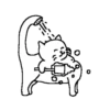 Abnormal cats 9