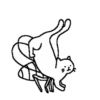 Abnormal cats 12