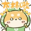 Perfectly Shiba inu Pop-up 10