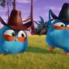 Angry Birds ✺1 Movi 13