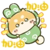 Perfectly Shiba inu Pop-up 13