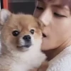 BTS Random 21