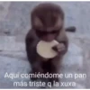 animalitos 19
