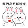 天然呆 蘇仙4 ☆BROWN & FRIENDS 13