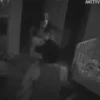 Halloween terror 1 Movi 17