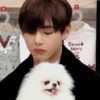 BTS Random 22