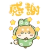 Perfectly Shiba inu Pop-up 17