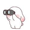 Chubby rabbit bbanggle 11
