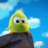 Angry Birds ✺1 Movi 16