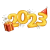 2023 ✺1 21