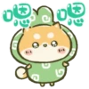 Perfectly Shiba inu Pop-up 19