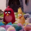 Angry Birds ✺1 Movi 17