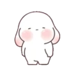 Chubby rabbit bbanggle 13