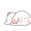 Chubby rabbit bbanggle 14
