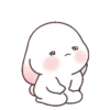 Chubby rabbit bbanggle 15