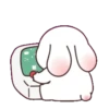Chubby rabbit bbanggle 18