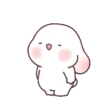 Chubby rabbit bbanggle 19