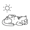 Abnormal cats 18