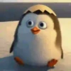 Pingüitu 1 Movi 24