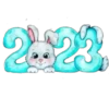 2023 ✺1 29