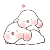 Chubby rabbit bbanggle 20