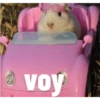 animalitos 30