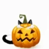Halloween ️ ‍ Movi 29