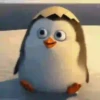 Pingüitu 1 Movi 30