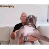 Johnny Sins 10