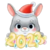 2023 ✺1 30