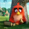Angry Birds ✺1 Movi 26