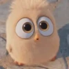 Angry Birds ✺1 Movi 27