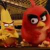 Angry Birds ✺1 Movi 28