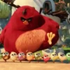 Angry Birds ✺1 Movi 29