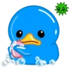 Blue Duck 6