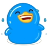 Blue Duck 7