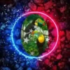 Aves Silvestres  1 Movi 11