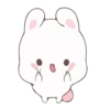 Rabbit 5