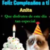 Feliz cumple Anita🎂1🇲🇽Movi 5