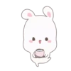 Rabbit 6