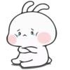 Rabbit 8 6