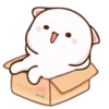 Cutie cat 10