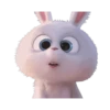 animation_0_7_Rabbit_2 10