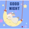 Buenas noches 8 🌚MOV. 🇲🇽 14