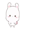 Rabbit 11