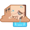 Human Box 6