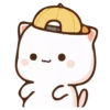 Cutie cat 13