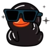 Black Duck 11