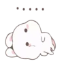 Rabbit 12