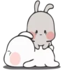 Rabbit 8 11